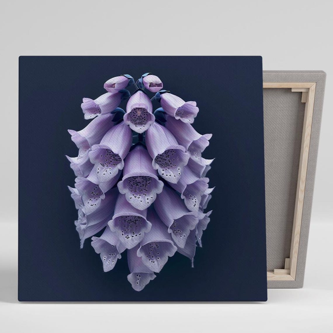 Purple Foxglove Bells On Dark Navy Background Botanical Art Poster