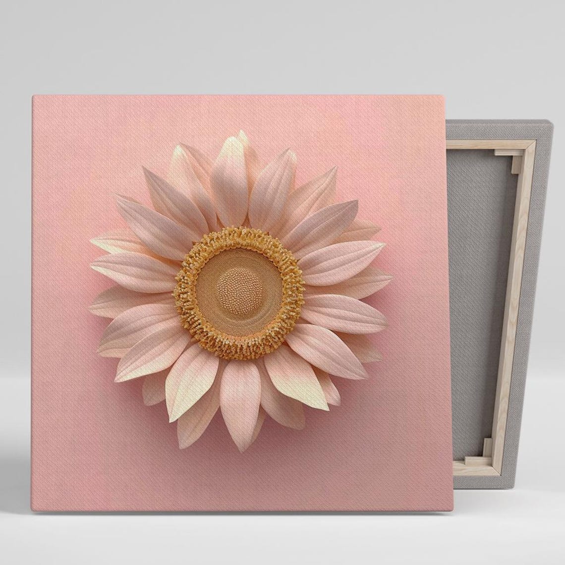 Blush Pink Sunflower Bloom Golden Center Minimalist Wall Art