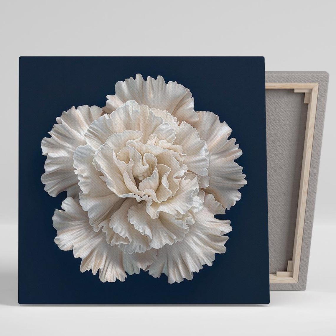 Giant Ivory Carnation Navy Background Dramatic Monochrome Art Poster
