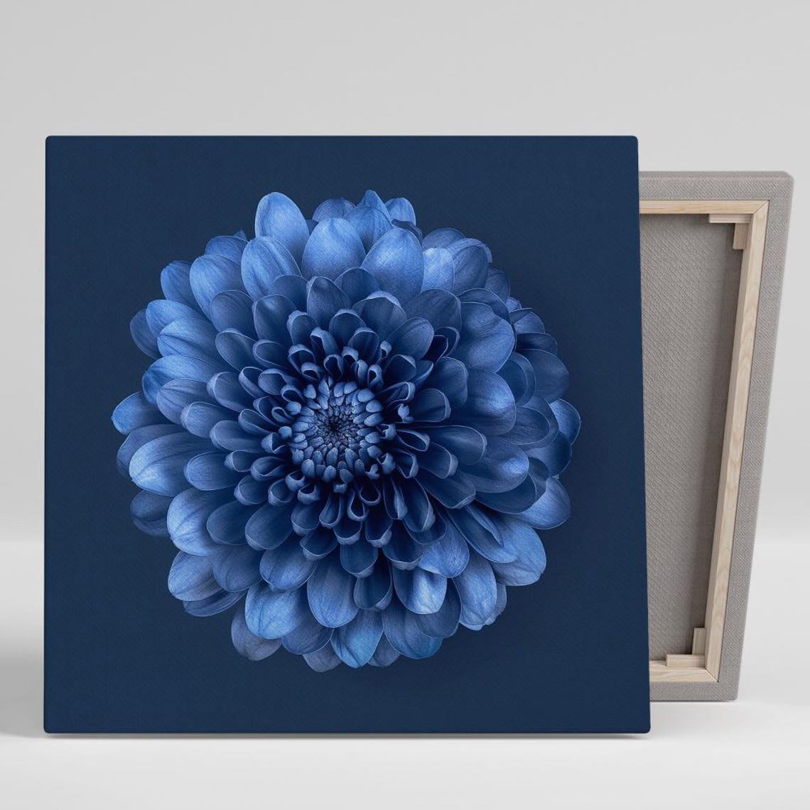 Deep Blue Dahlia Bloom Close Up Moody Dark Navy Floral Wall Art