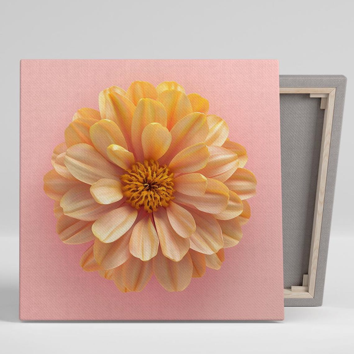 Peach Dahlia Flower Close Up Photography Pink Background Art Poster