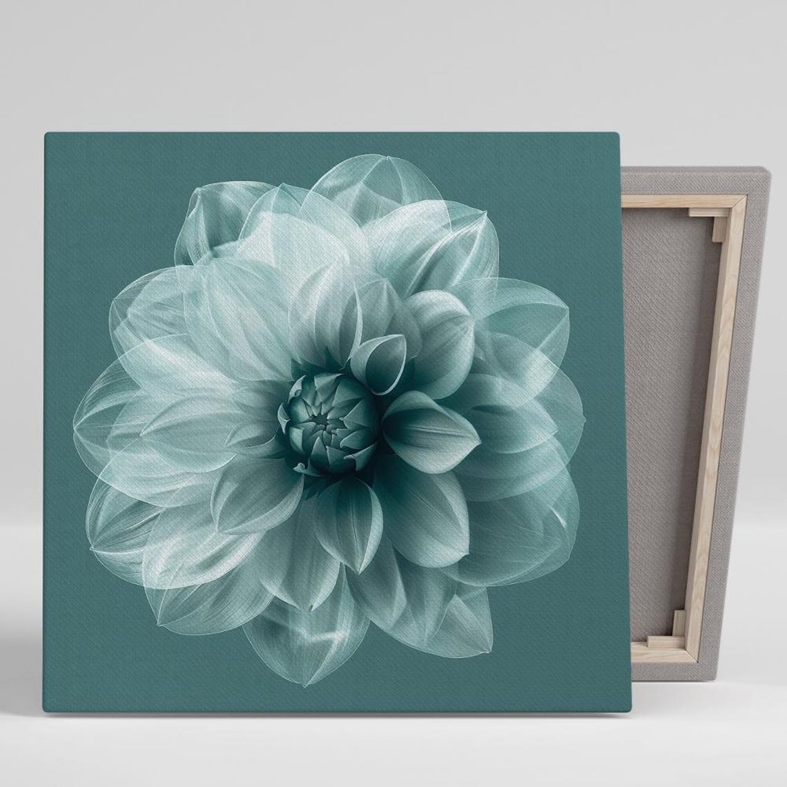 Translucent Teal Dahlia Bloom On Deep Teal Background Art Poster