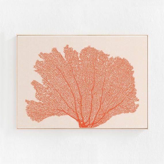Seafan Coral Print, Coastal Wall Art