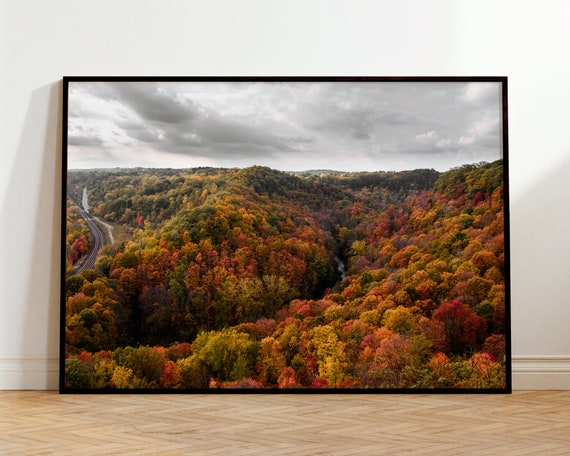 Halloween Fall Photography Print Autumn Landscape Wall Art Minimalist Orange Forest Decor Rustic Cabin Cottage Modern Nature