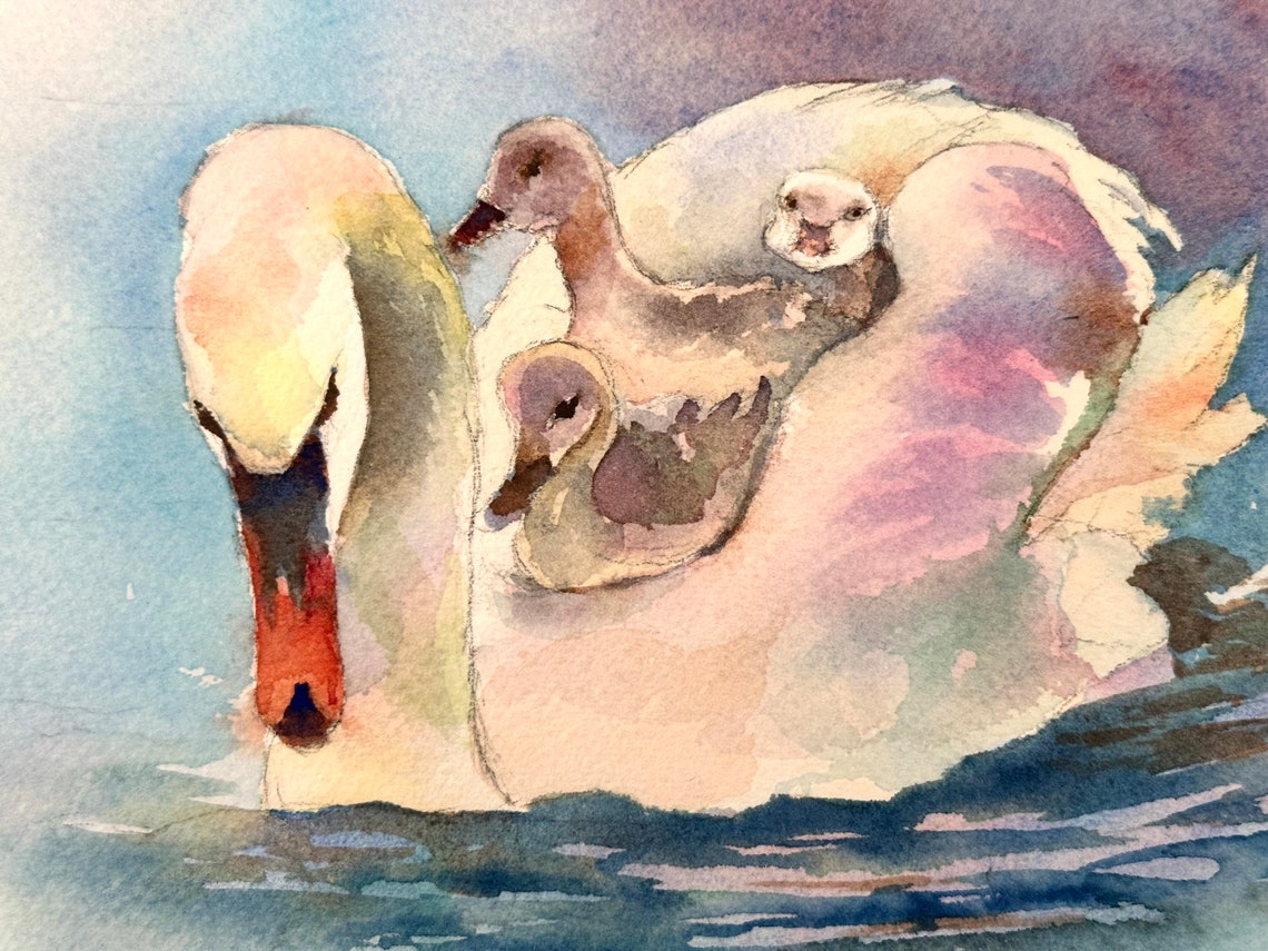 Swan Original Watercolor Painting White Swan Painting Aquarelle Mother Day Gift White Swan Lake Mother Swan With Her Babies 8x12 In