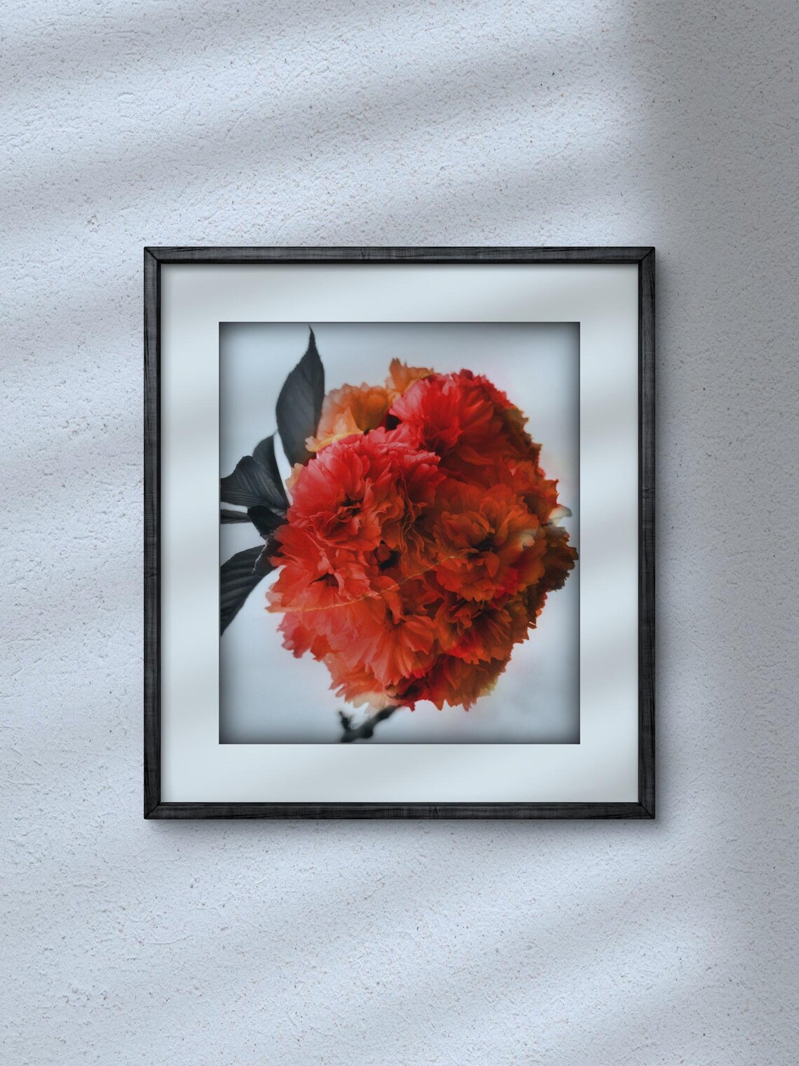 Dramatic Color Enhanced Flower Photograph - Image 3