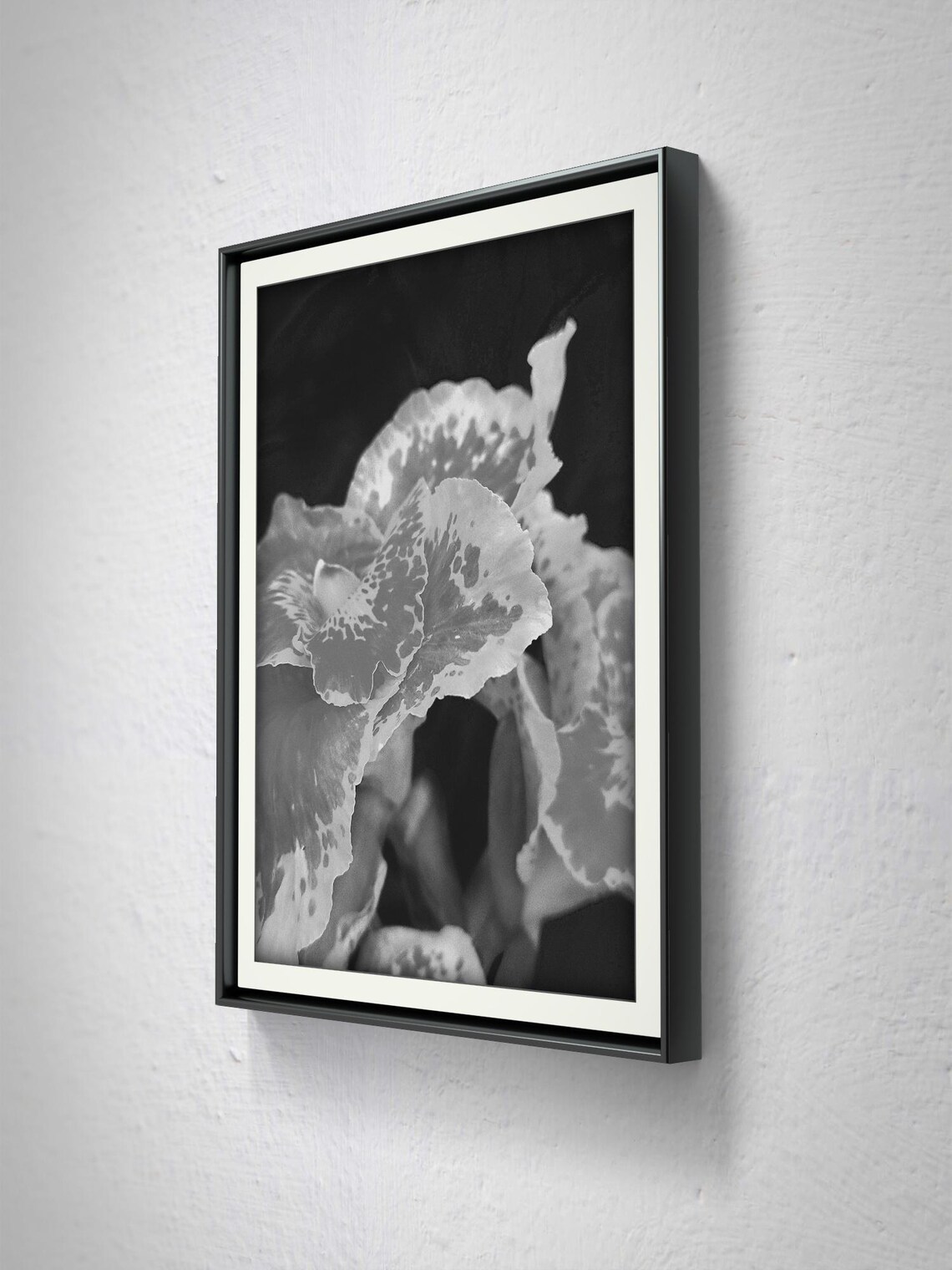 Iris Photograph, Elegant Floral Art Print - Image 3
