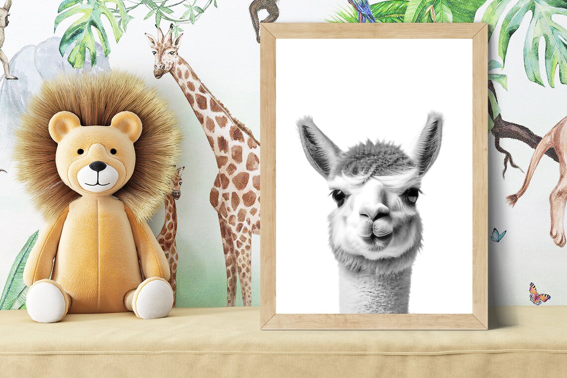 Baby Alpaca Portrait Black and White Safari Nursery Animal Poster