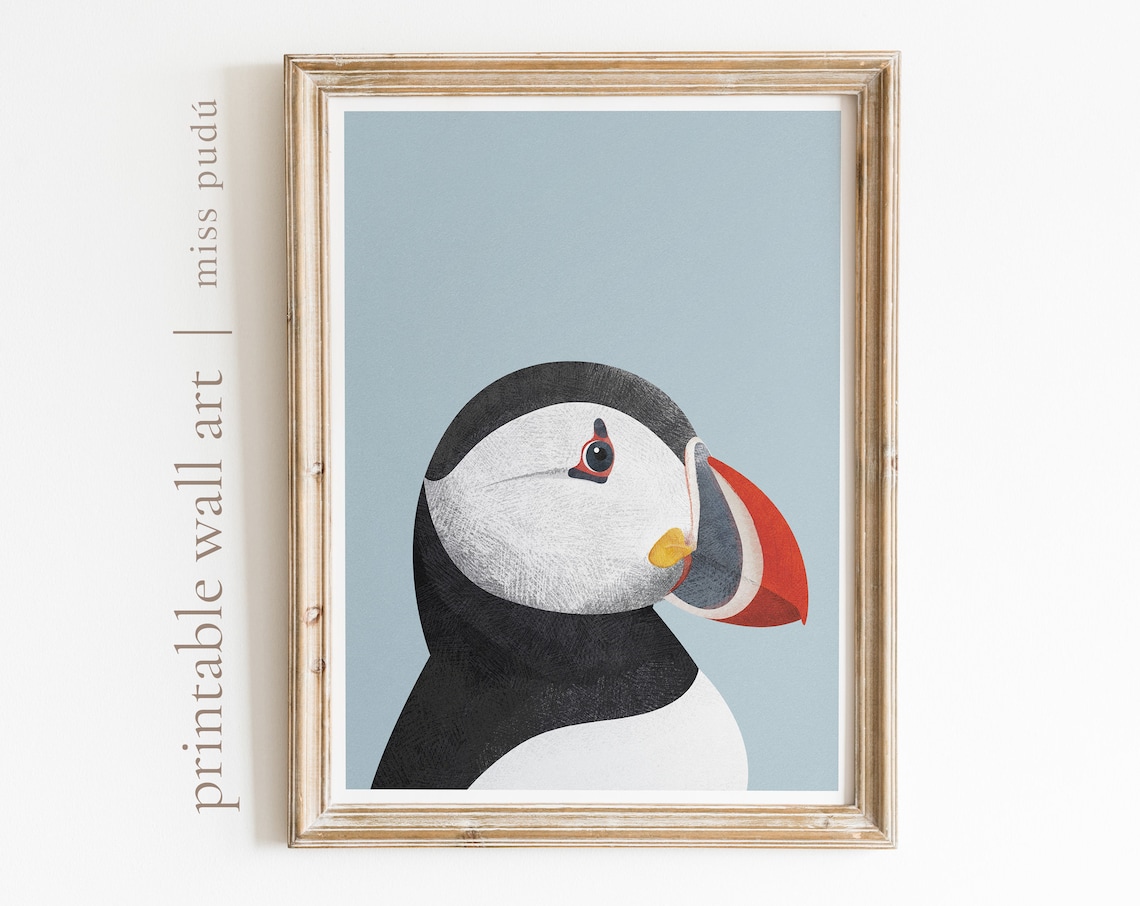 Atlantic Puffin Illustration, Modern Bird Art Print