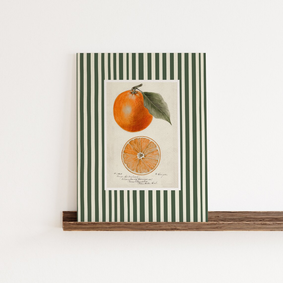 Orange Fruit Print, Modern Farmhouse Kitchen Art - Image 3