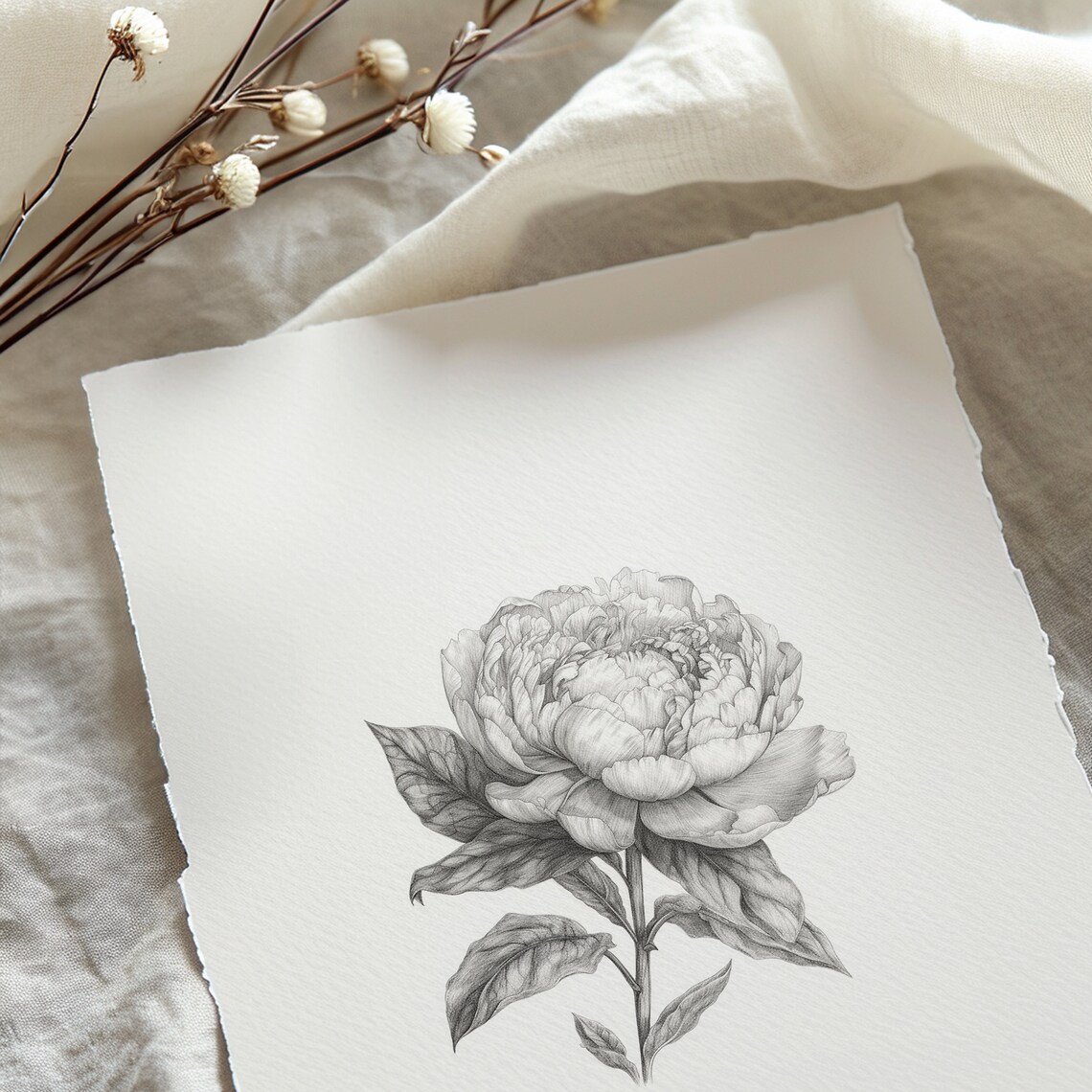 Peony Flower Sketch Art Print, Monochromatic Floral - Image 5