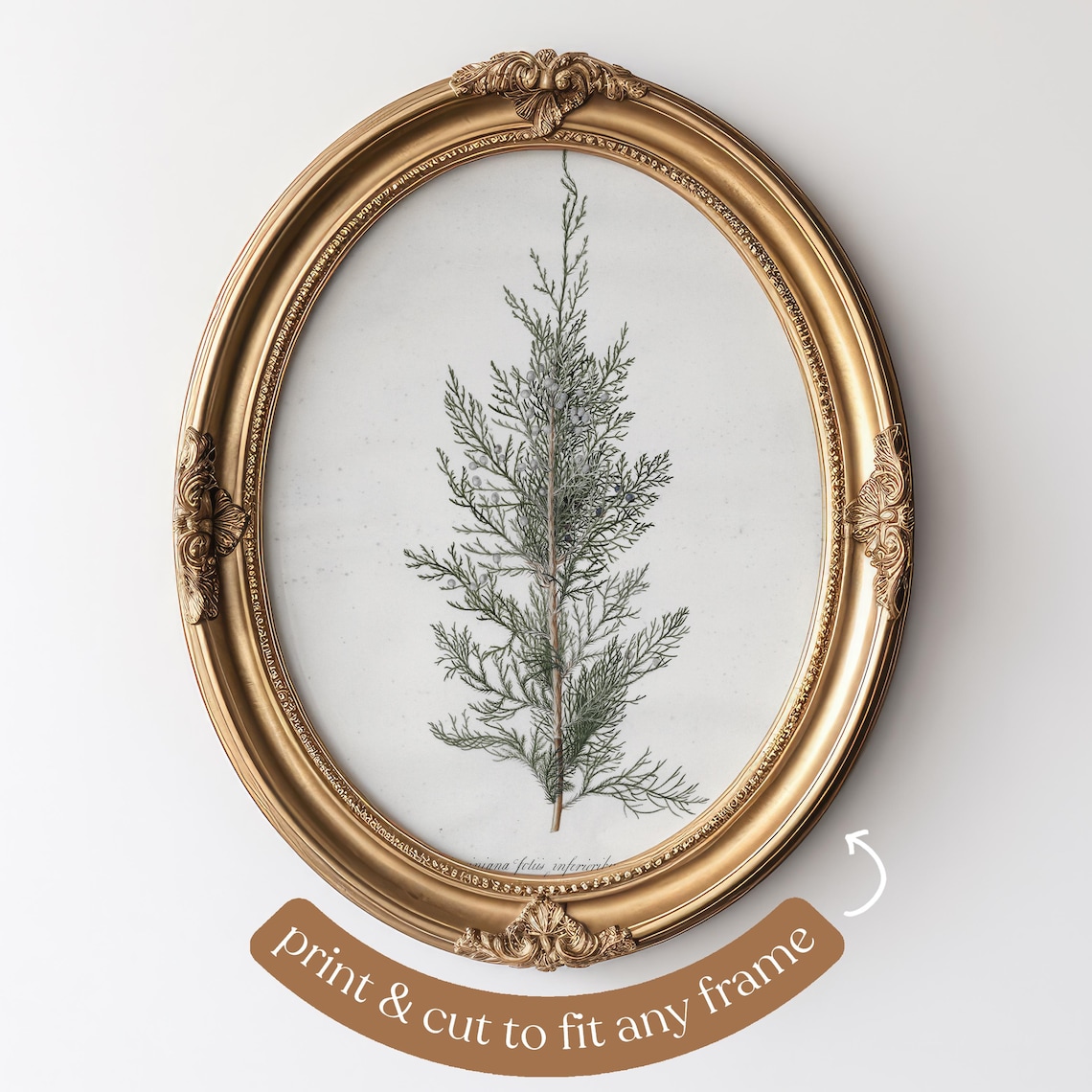 Juniper Tree Vintage Winter Art Print, Rustic Decor - Image 4