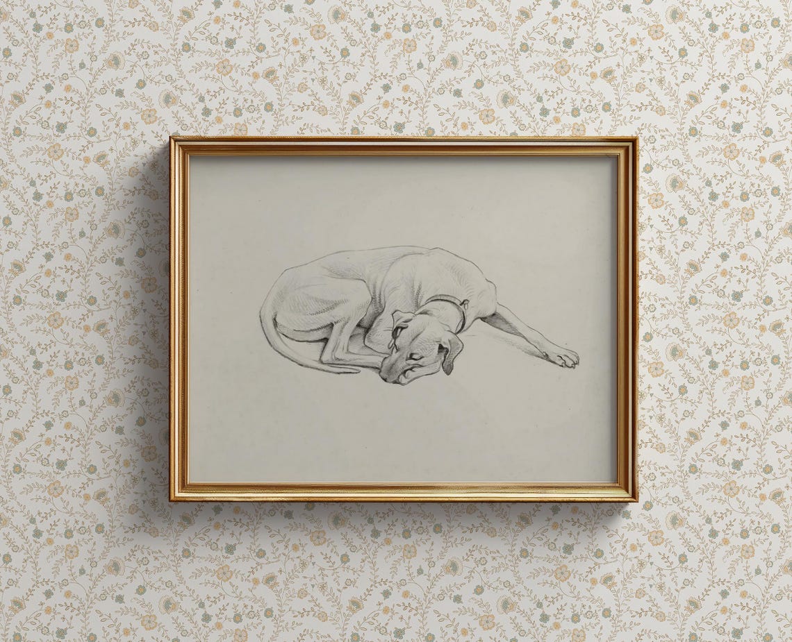 Sweet Vintage Sleeping Dog Delicate Pencil Sketch Portrait Poster