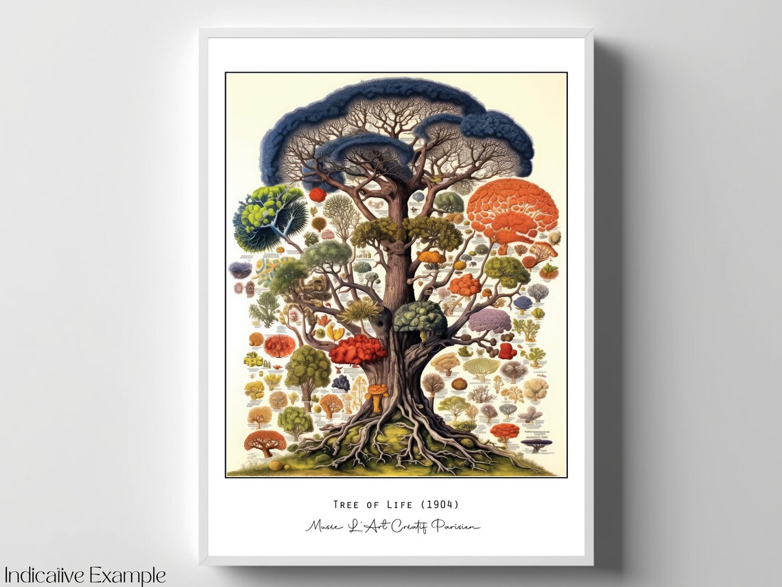 Tree Of Life 1904 Haeckel Inspired Natural History Art Poster - Image 4