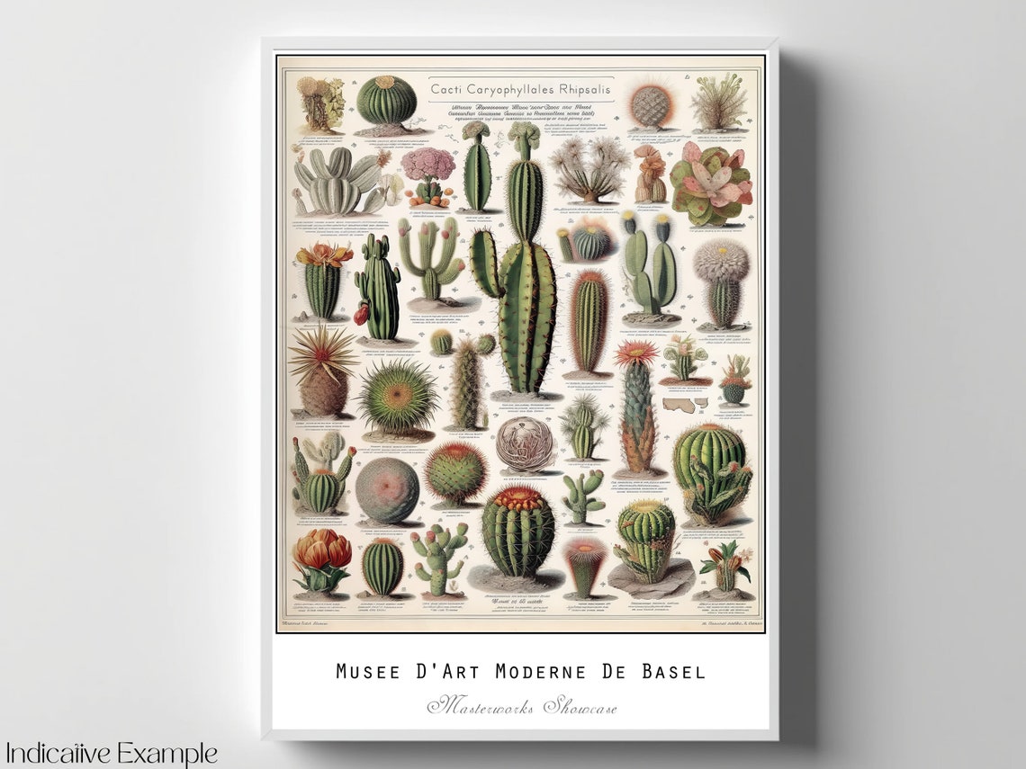 Vintage Cactus Chart Haeckel Inspired Botanical Specimen Poster - Image 4