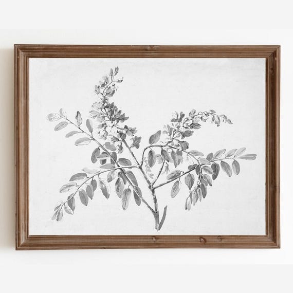 Vintage Botanical Branch Sketch, Farmhouse Art Print