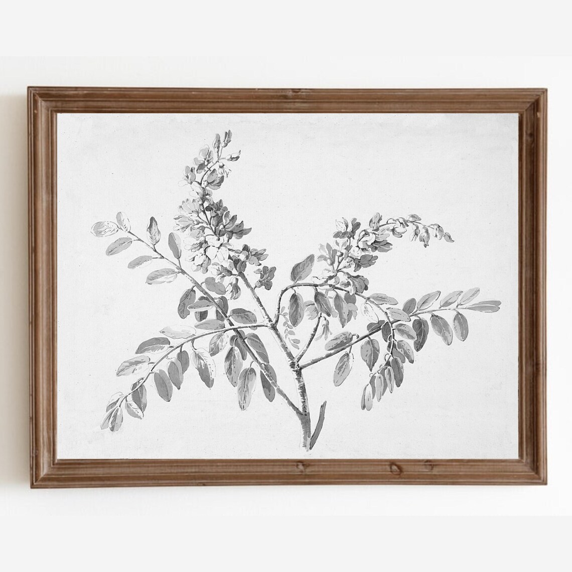 Vintage Botanical Branch Sketch, Farmhouse Art Print