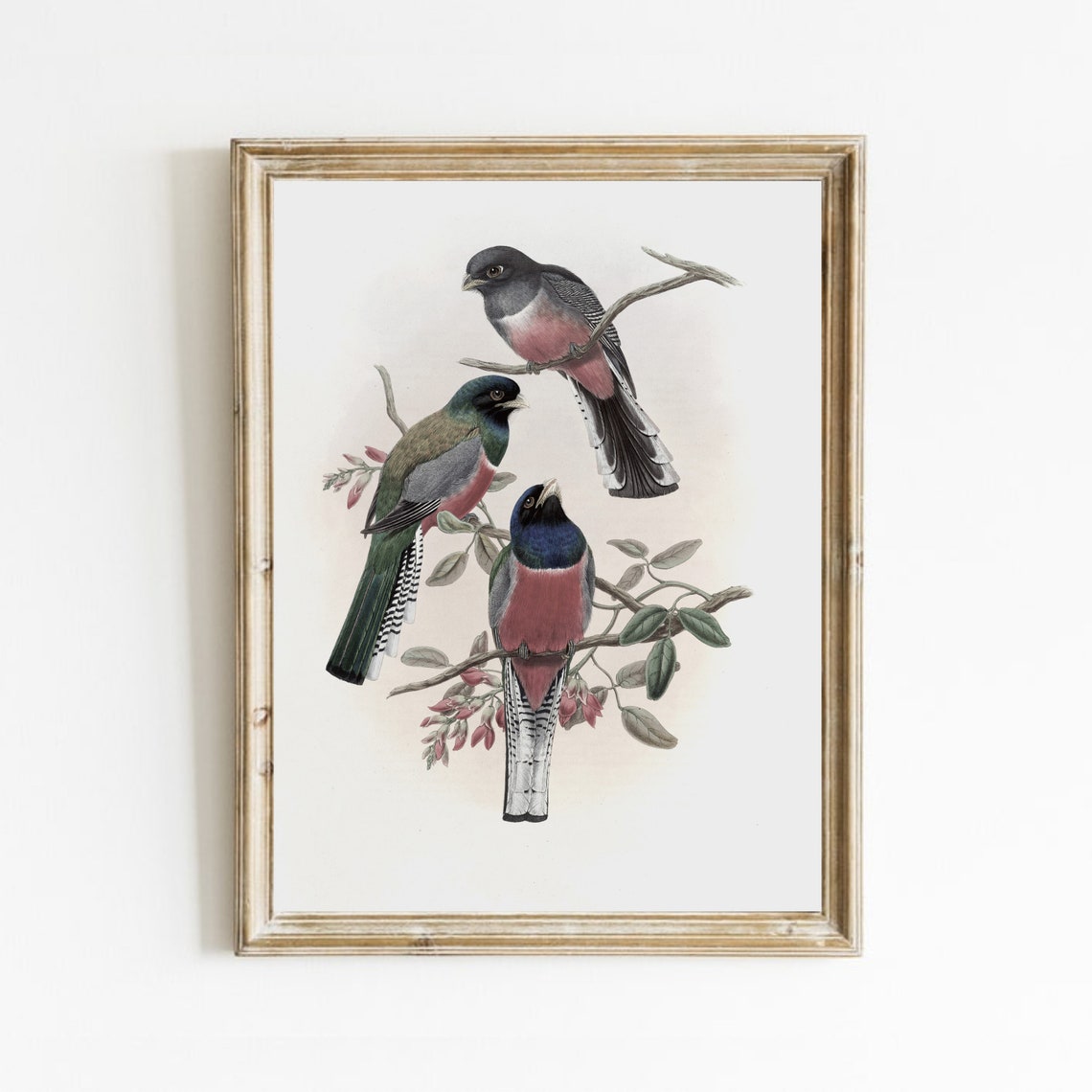Vintage Bird Painting Bird On A Branch Nursery Art Antique Still Life Painting Country Farmhouse Print Art