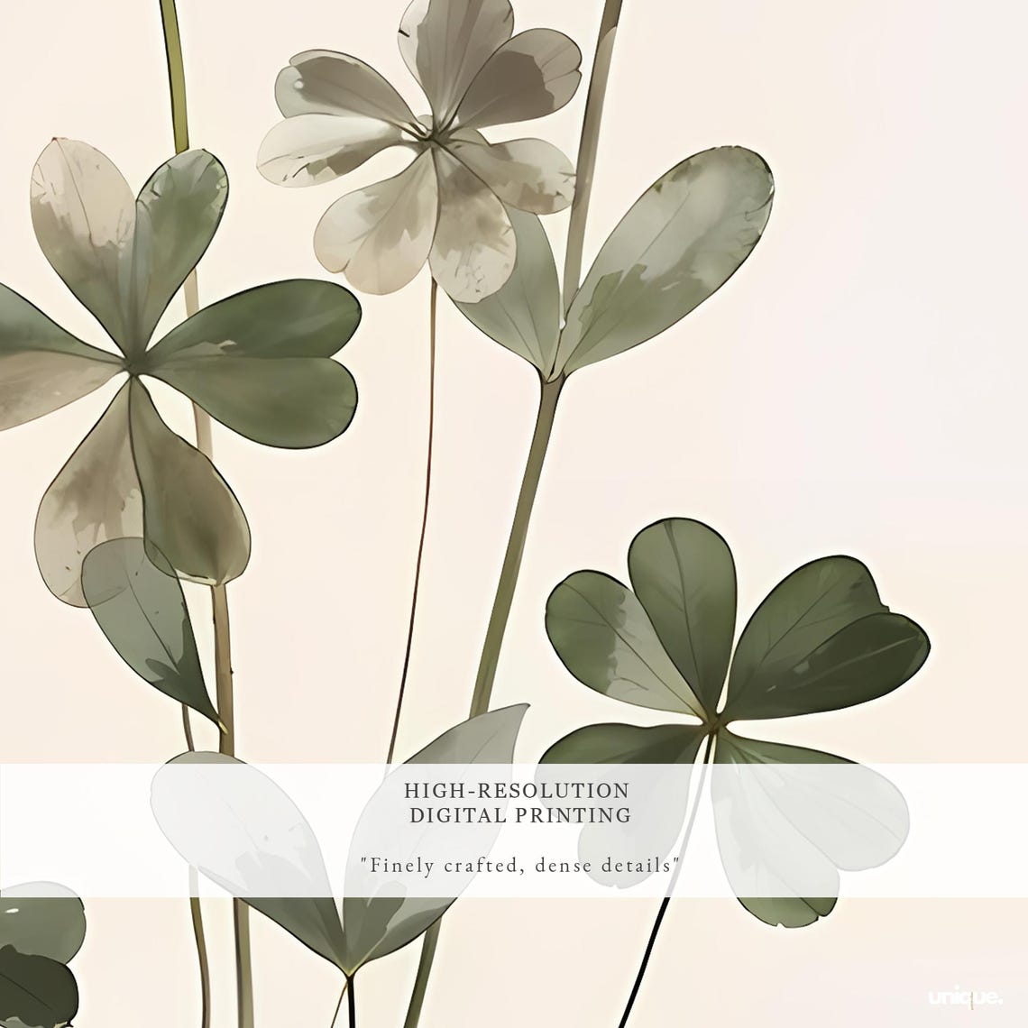 White Daisy Clover Botanical Watercolor Floral Art Poster Decor - Image 2