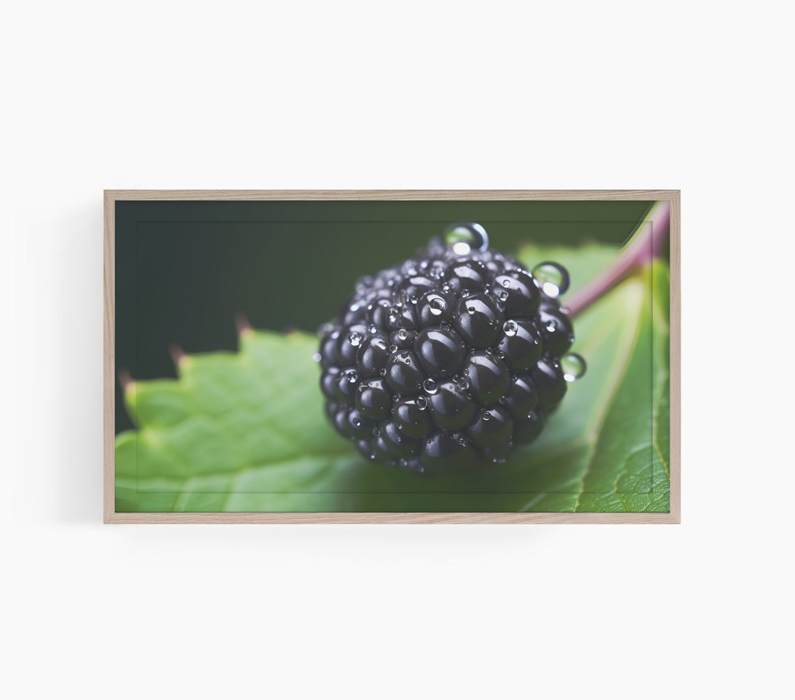 Blackberry Macro Photography Water Droplets Green Leaf Nature Poster