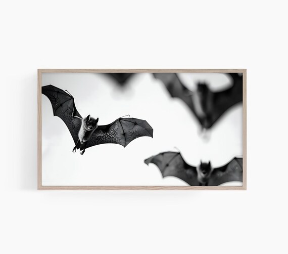 Flying Bats Black And White Spooky Halloween Night Gothic Wildlife Wall Art