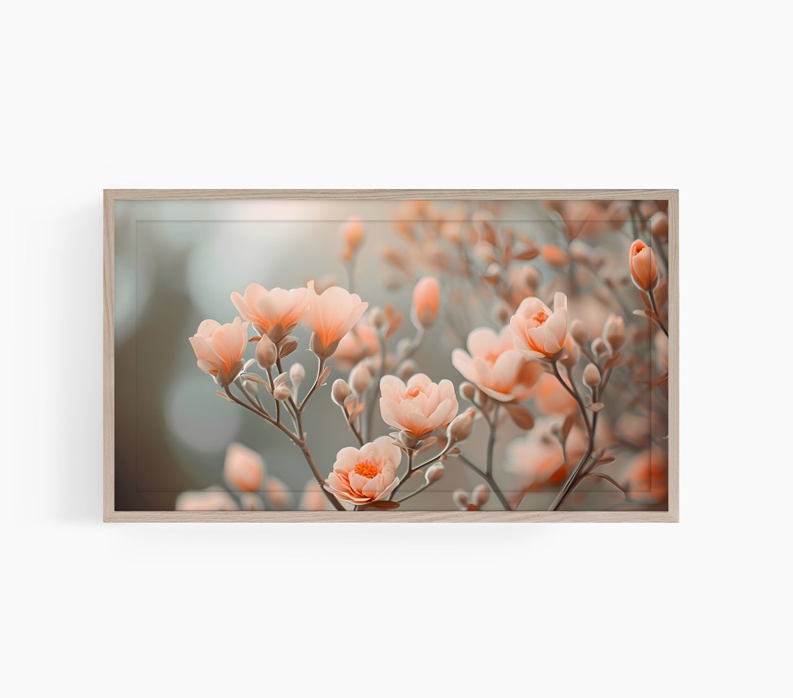 Peach Magnolia Blossoms Soft Focus Spring Flower Photo Poster