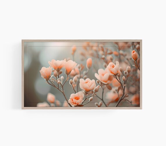 Peach Magnolia Blossoms Soft Focus Spring Flower Photo Poster