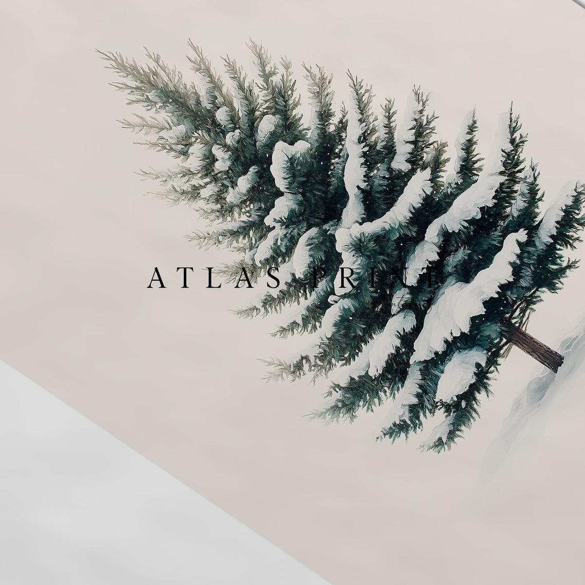 Minimalist Snowy Evergreen Pine Tree Winter Botanical Art Print - Image 4