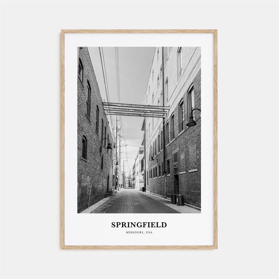 Springfield Missouri Historic Brick Alleyway Street Photo Poster