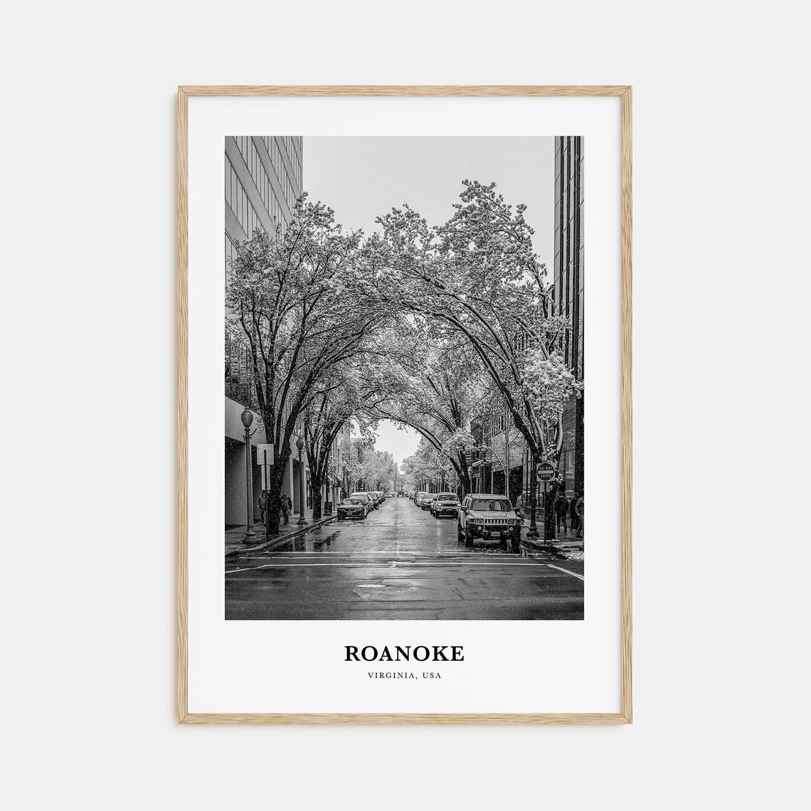 Roanoke Virginia Tree Lined Downtown Street Black White Photo Poster