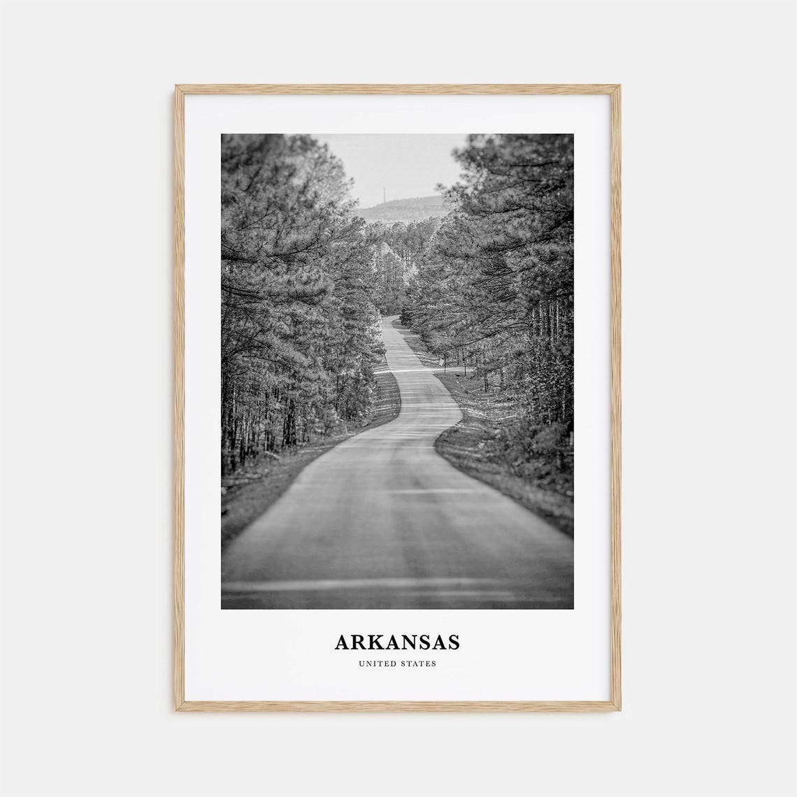 Arkansas United States Winding Forest Road Pine Trees Landscape Poster