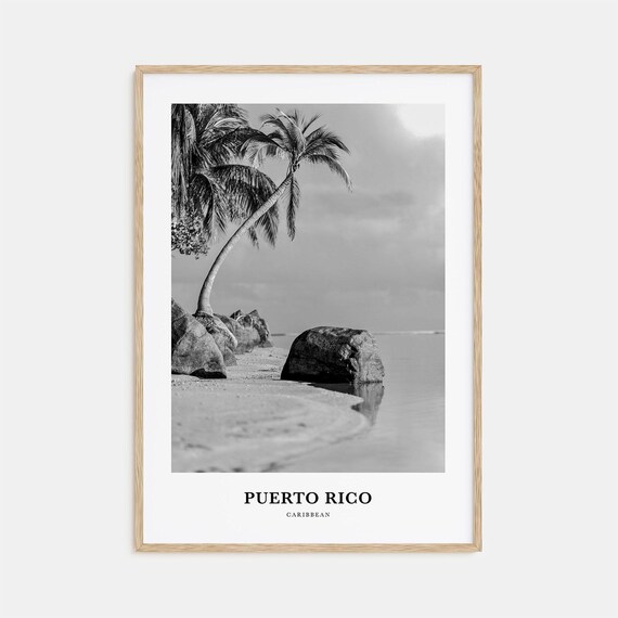 Puerto Rico Caribbean Leaning Palm Beach Rock Shoreline Poster