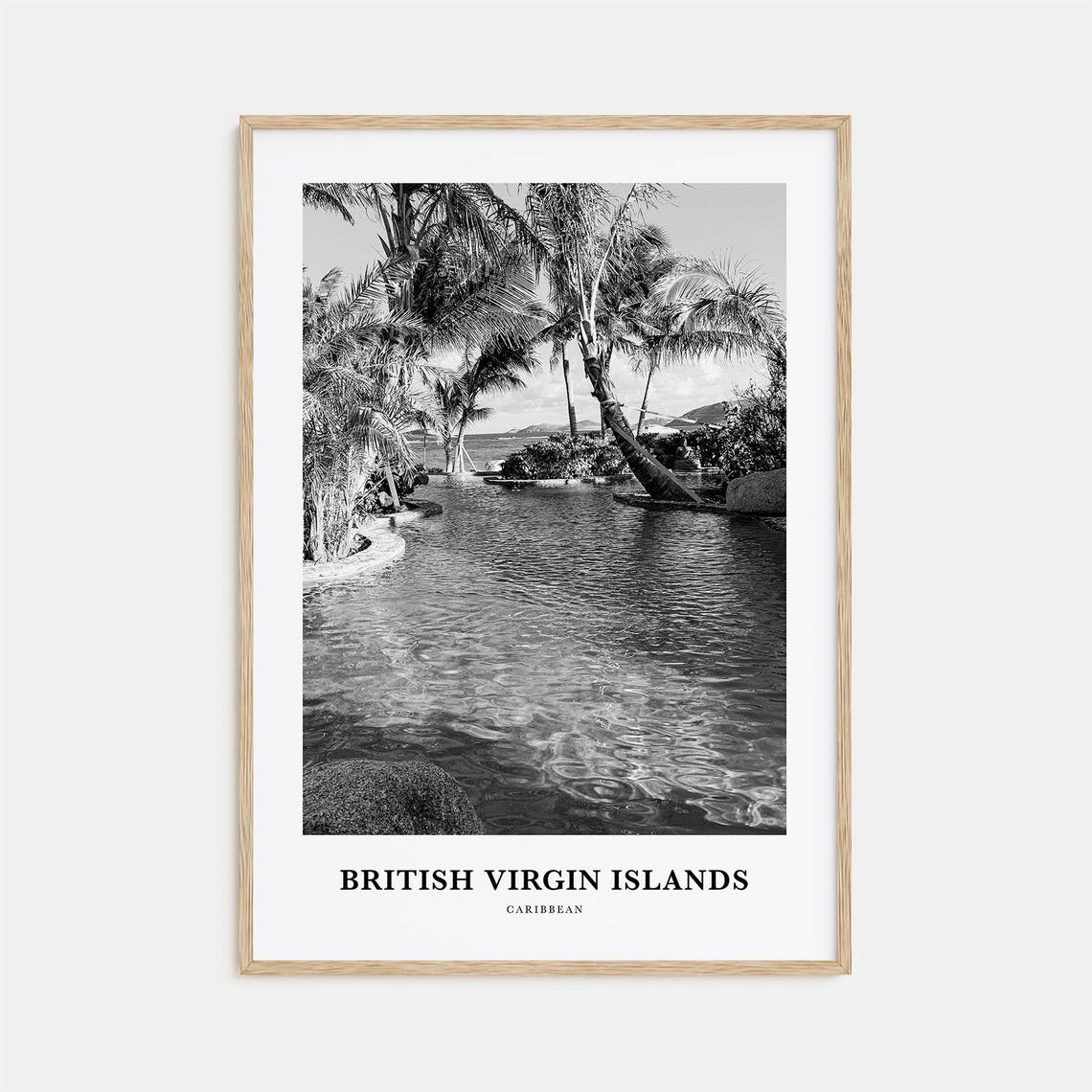 British Virgin Islands Palm Trees Lagoon Black and White Poster