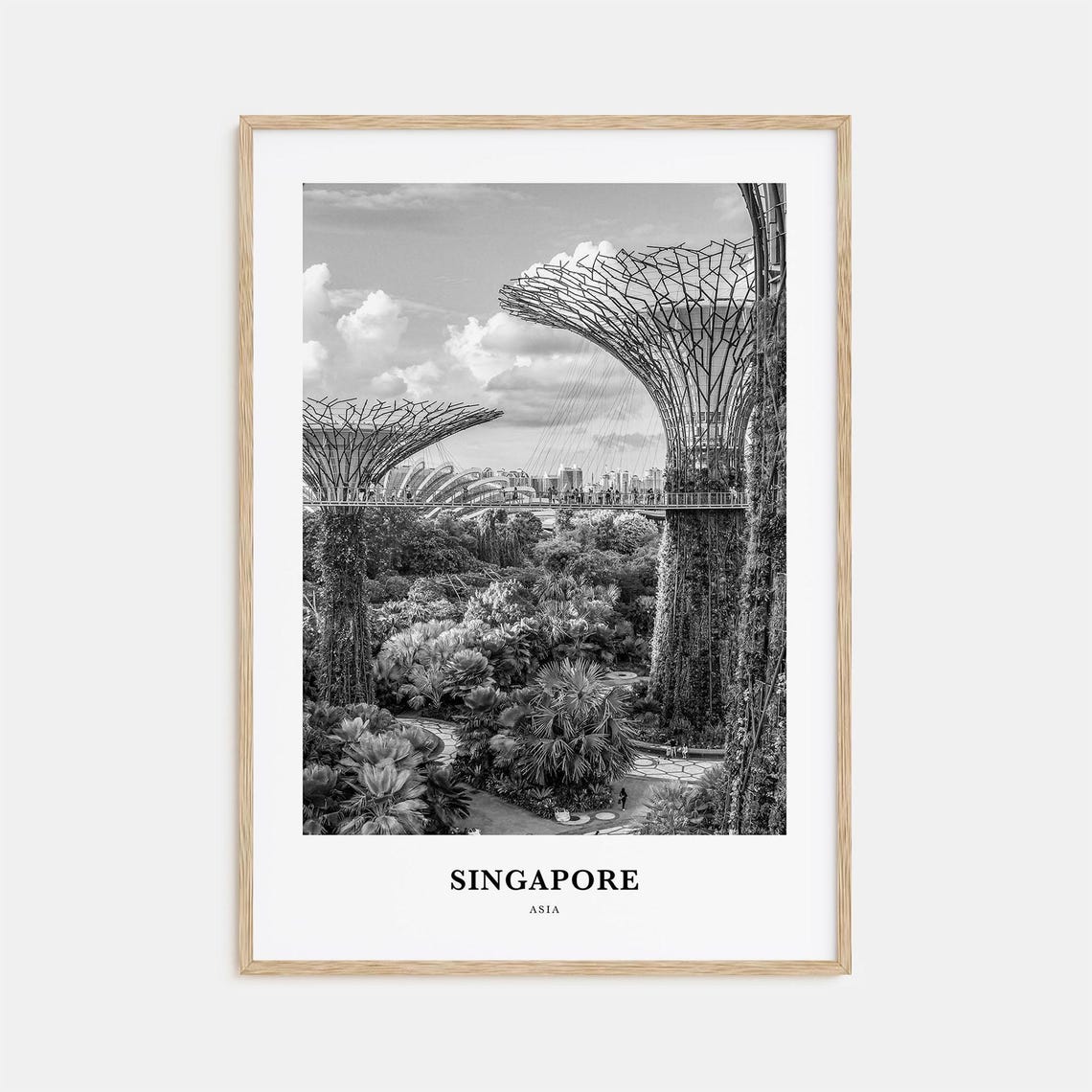 Singapore Gardens by the Bay Supertrees Black and White Photo Poster