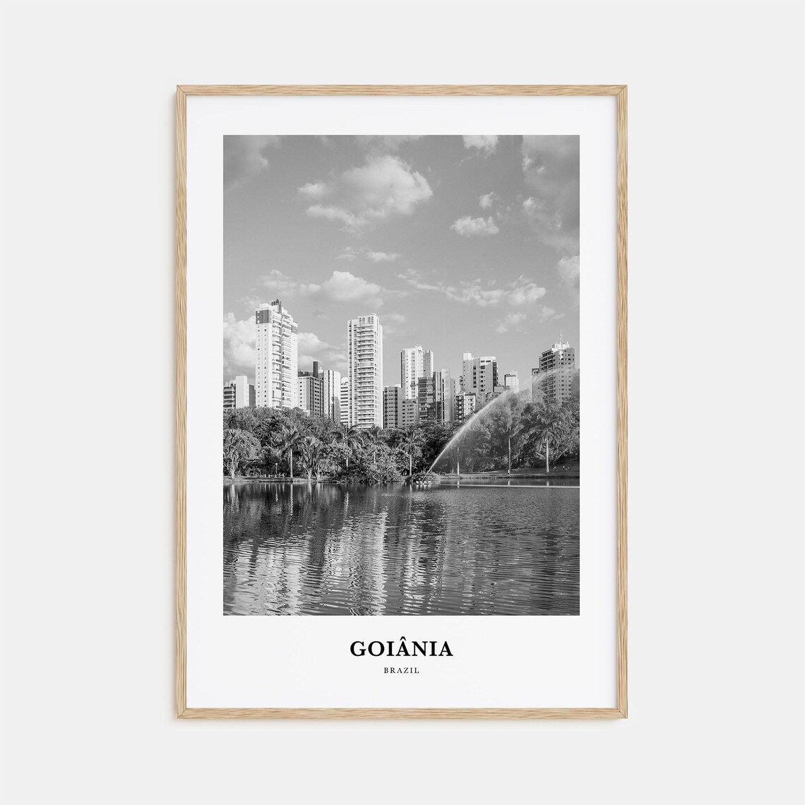 Goiânia Brazil City Skyline Lake Fountain Black and White Poster
