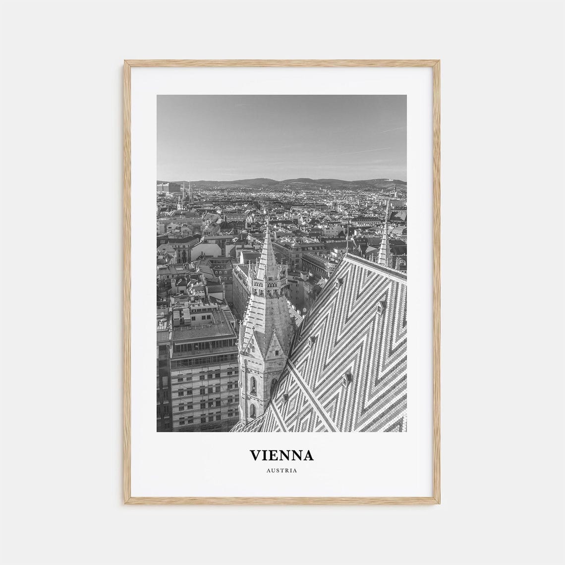 Vienna Austria St Stephens Cathedral Tiled Roof Monochrome Poster