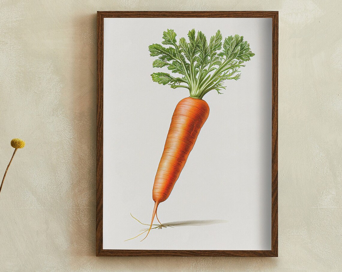 Sweet Bright Orange Carrot Vintage Botanical Illustration Poster