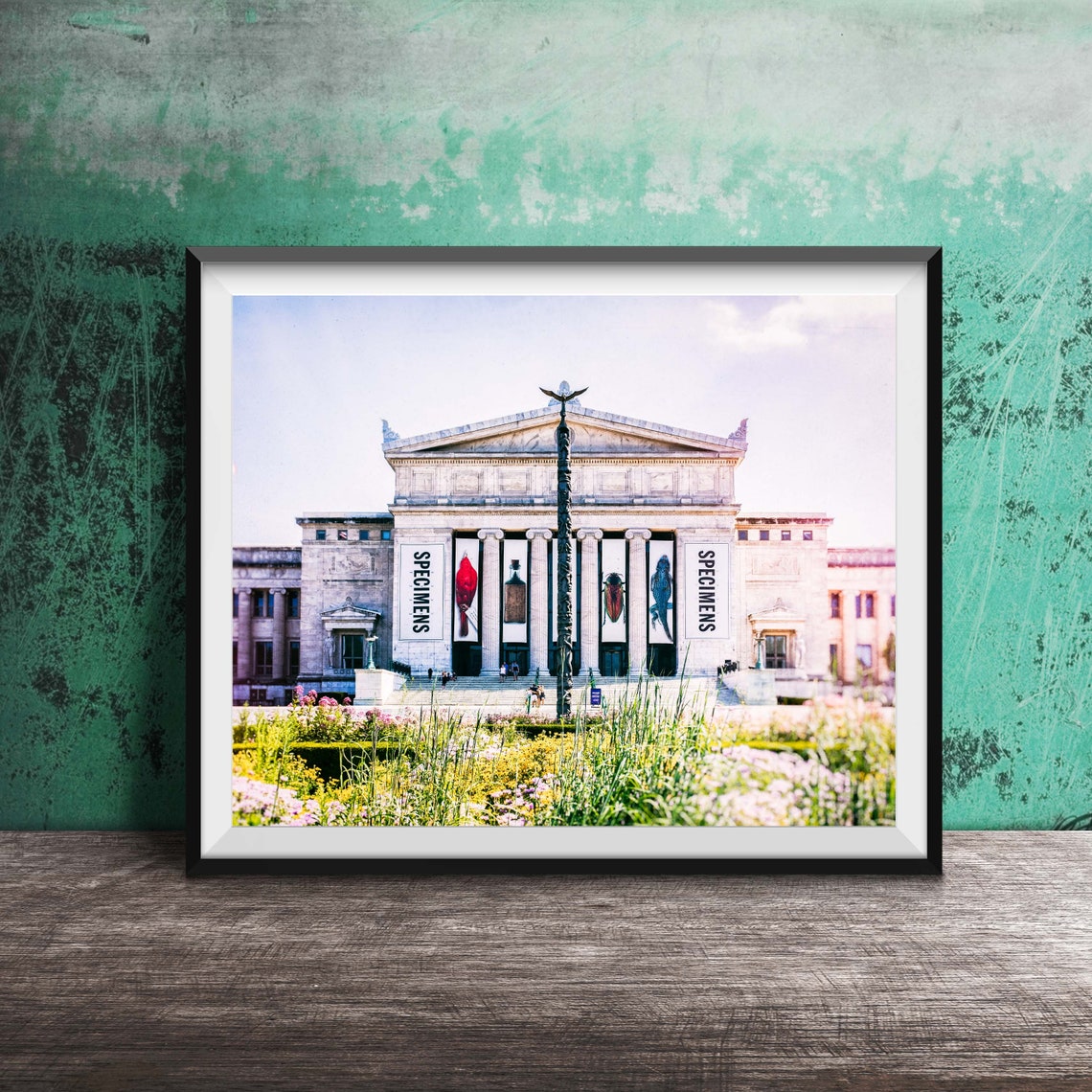 Field Museum Chicago Specimens Banners Facade Garden View Poster