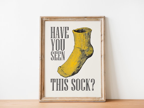 Have You Seen This Sock Print, Funny Laundry Art