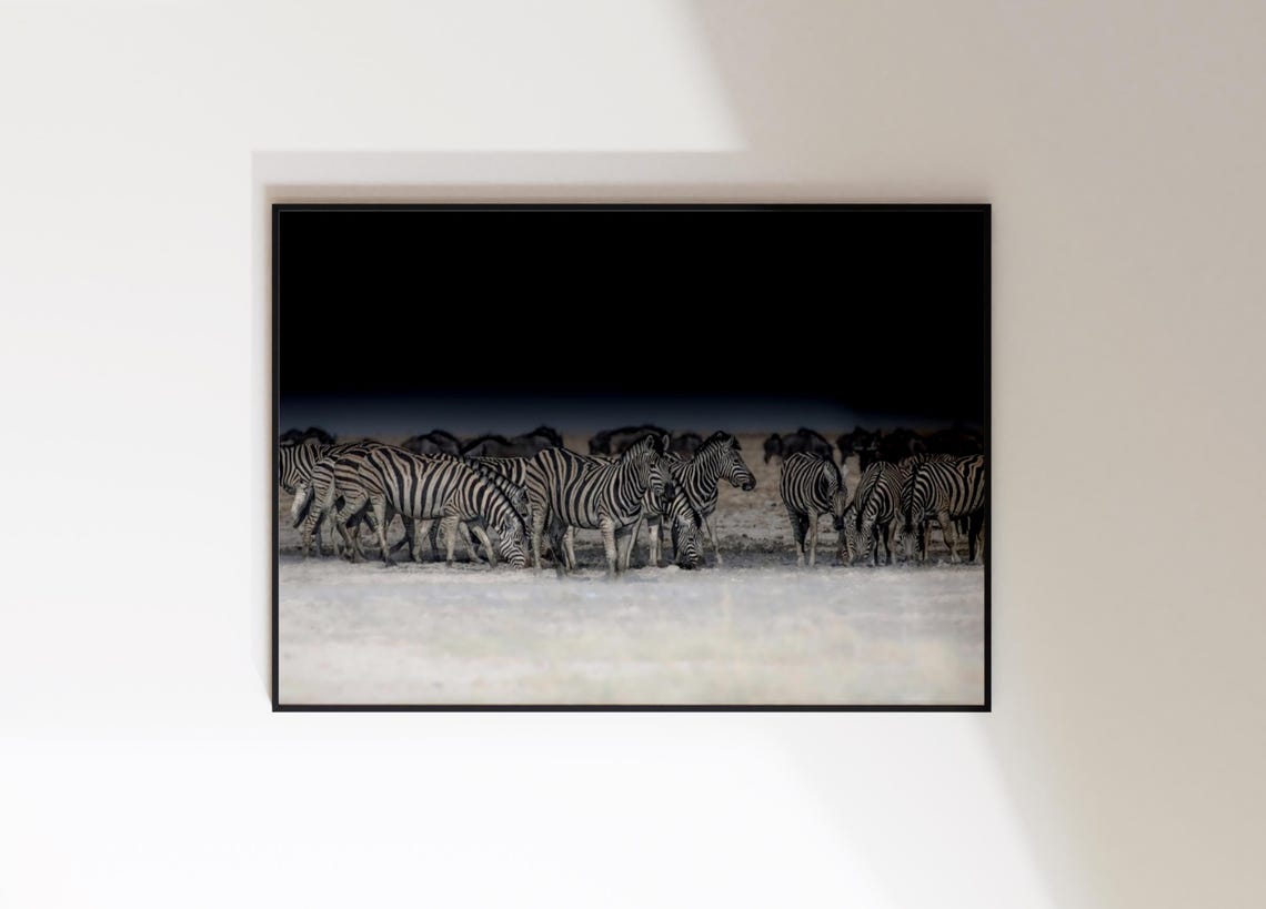 Etosha Namibia Zebras Herd Wildlife Photography African Print