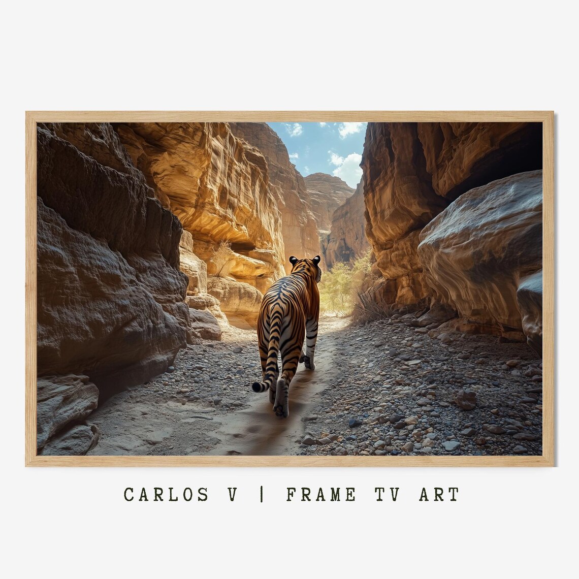 Tiger Walking Away through Desert Canyon Rocks Adventure Wildlife Poster