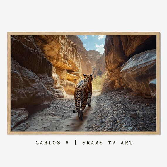 Tiger Walking Away through Desert Canyon Rocks Adventure Wildlife Poster