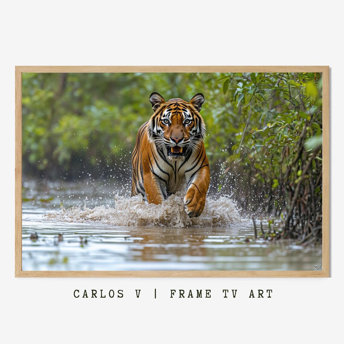 Tiger Charging Through Splashing Water in Green Jungle Poster