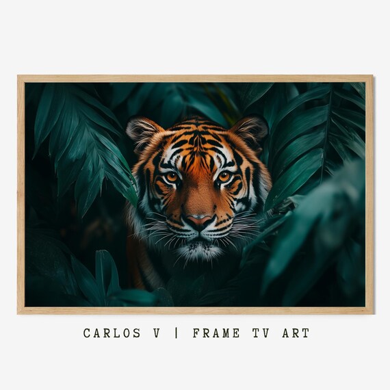 Tiger Face Peering Through Dark Jungle Leaves Close Up Poster