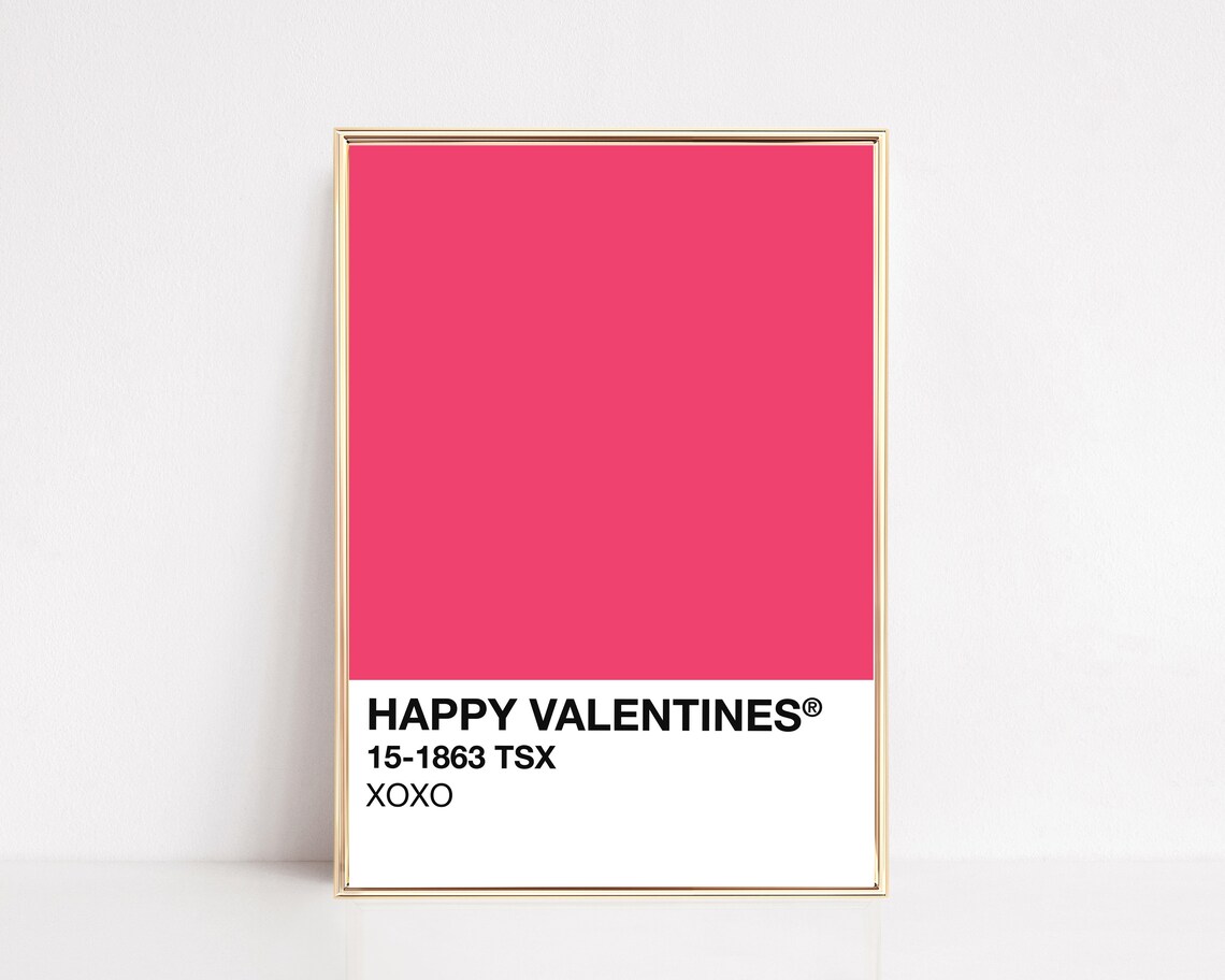Happy Valentines Hot Pink Pantone Style Swatch XOXO Color Block Poster