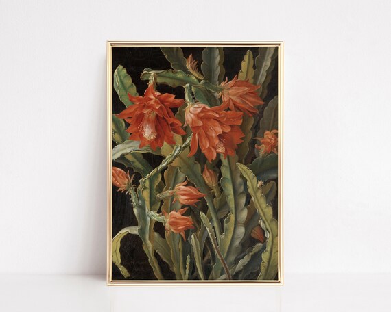 Vintage Botanical Red Cactus Flowers Oil Painting Floral Wall Art