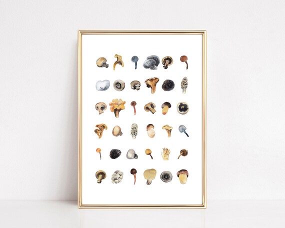 Watercolor Mushroom Chart Botanical Study Grid Minimalist Wall Art