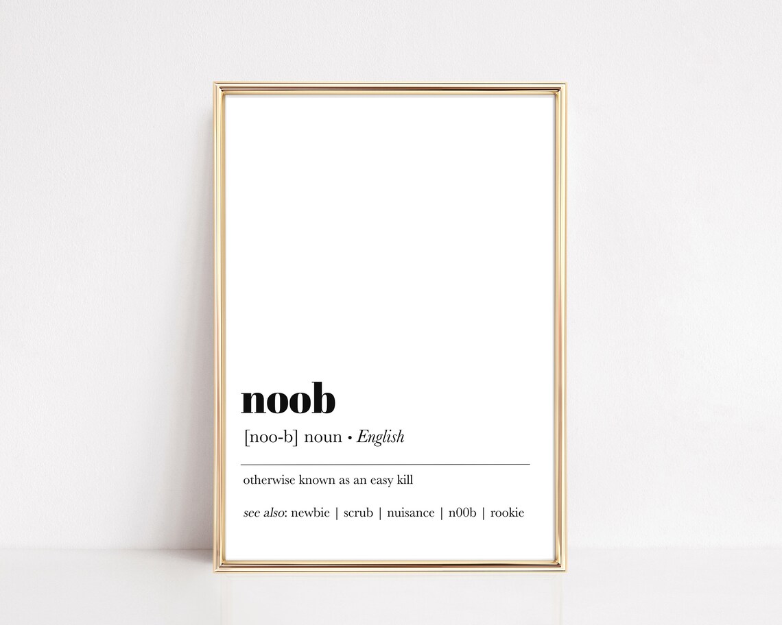 Noob Gaming Definition Funny Quote Poster For Gamer Man Cave
