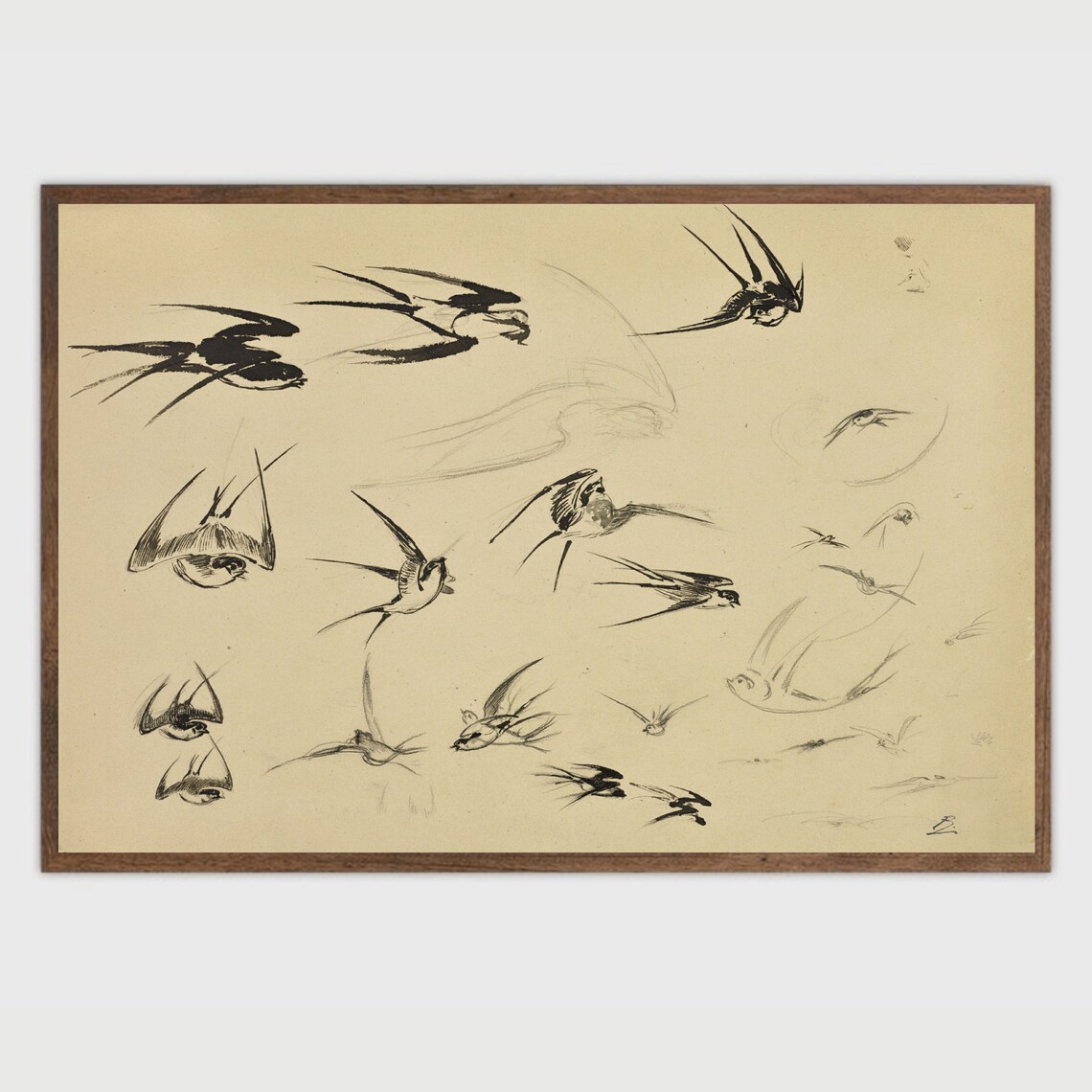 Swallow Bird Sketch, Vintage Farmhouse Art Print - Image 2