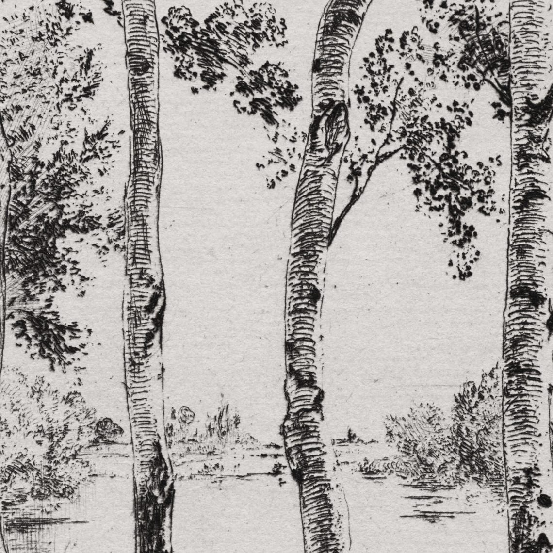 Antique Tree Etching Birch Trees Riverside Boat Black Ink Sketch Print - Image 2